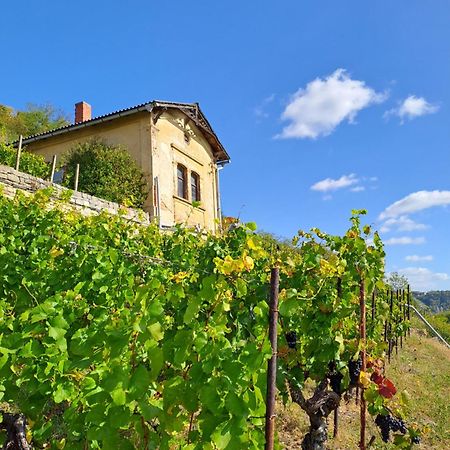 Ferienhaus Und Strausswirtschaft Im Weinberg Freyburg Bagian luar foto