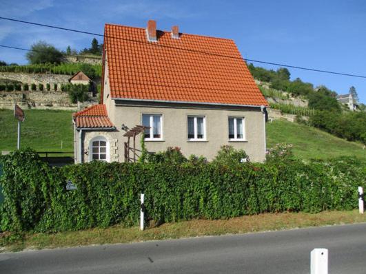 Ferienhaus Und Strausswirtschaft Im Weinberg Freyburg Bagian luar foto